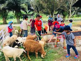 Hotels in der nähe von philip's animal garden, noord: Lawatan Tadika Pertama Hari Ni G2g Animal Garden Maeps Facebook