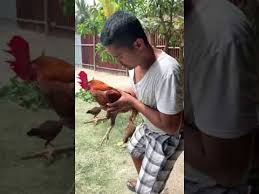 Mybest Ninja Filano Sehat Sehat Selalu Youtube