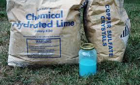 We did not find results for: Bordeaux Fungicide Preparation How To Make Bordeaux Fungicide