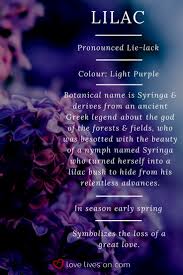 10 Best Funeral Flowers Flower Meanings Funeral Flowers Amazing Flowers