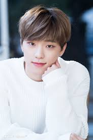 Dino Seventeen Dino Seventeen Seventeen Kpop Seventeen