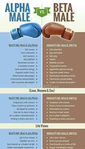 Alpha Beta Male Alpha Male Quotes Alpha Male Traits Alpha Male