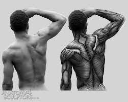 A muscle strain or tear in the back is usually caused by a sudden movement or lifting something that is too heavy. Pin On 2d How To