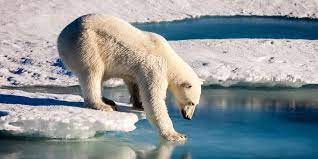 Le réchauffement climatique aura des conséquences tragiques pour les fleuves, puisque, selon le groupe d'experts intergouvernemental sur l'évolution du climat. Rechauffement Climatique Six Choses A Faire De Toute Urgence Pour Eviter Le Pire