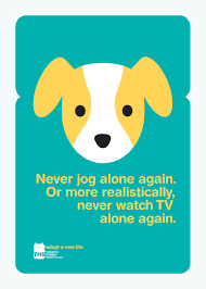 He is a siberian husky mix with a very laid back personality. Toronto Humane Society Jog Ads Of The World Dog Adoption Humane Society Adoption