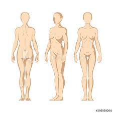 4.6 out of 5 stars. FaceÈ›io Grea Ortodox Grup Female Body Side Nnggcuenca Org