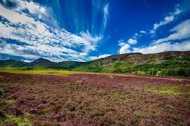 Lush Landscapes Scottish Landscape Beautiful Landscapes Landscape