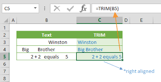 Characters between text removed using function. Function Trim