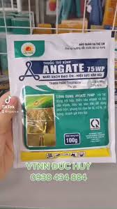Angate 75WP