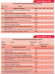 Format ddtk deteksi dini tumbuh kembang anak paudtk syarat pengisian sipena paud pnf 20. Contoh Format Checklist Skala Capaian Perkembangan Paud Paud Jateng