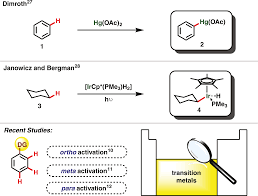 Read online books for free new release and bestseller Scielo Brasil A Catalysis Guide Focusing On C H Activation Processes A Catalysis Guide Focusing On C H Activation Processes