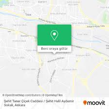 Şehit Taner Çiçek Caddesi