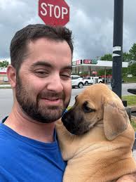 Hello!? Can Morris come out to play!?