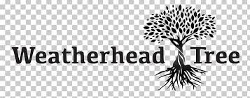 Check spelling or type a new query. Oakville Golf Club Tree Forest Logo Png Clipart Black And White Branch Brand Budine Tree Service