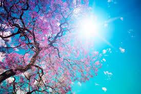 31.05.2018 · sunlight is the main source of uv rays, but tanning beds and sun lamps are also a source. Blog 8 Facts You Need To Know About Skin Cancer Nfcr