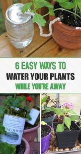 6 Easy Ways To Water Your Plants While You Re Away Plants Water Plants Outdoor Plants