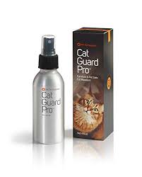 Most importantly, if your cat has its claws then she'll need to satisfy the natural urge to scratch. Top 10 Best Cat Deterrent Sprays For Indoor Cats Updated 2020