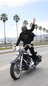 Image result for Bright Wineberry 1993 FXSTS