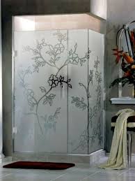 Shower Idea Use Glass Etching To Create A Pattern On Old Shower Doors Etched Glass Shower Doors Shower Enclosure Glass Shower Doors