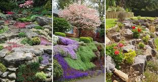 We are committed to sourcing the highest quality products available and forming strong, long term business relationships with industry professionals and home owners alike. 15 Amazing Rock Garden Design Ideas Yard Surfer