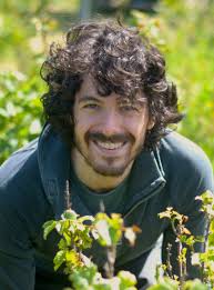 The Value of Limits. ~ Jake Bornstein