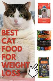 Adding fiber to your house cat's diet can help them address hunger without the danger of gaining more weight than necessary. Pin On Best Cat Food