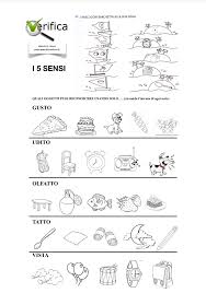 Pin Di M P Su Sostegno Primaria Scienza Per Bambini Lezioni Di Scienze Insegnamento Della Scrittura