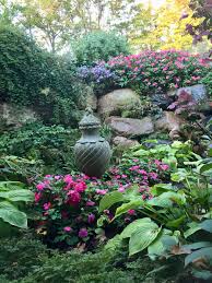 No z plants at this time. View Into Sunken Garden From Guest Bedroom Window Clematis Praecox And Stephonandra Cascading Over Boulder Wall With Hosta Plant Sunken Garden Clematis Hostas