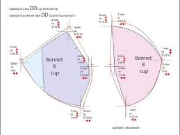 Bra Cup Grading Youtube