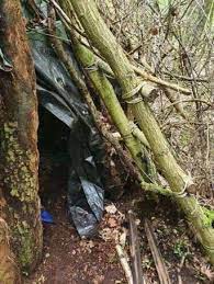 Update do 10 jun 19:10 zoektocht naar jürgen conings zoektocht naar jürgen conings vanmorgen hernomen. Tentje Diende Wellicht Niet Als Onderdak Voor Jurgen Conings Gazet Van Antwerpen Mobile