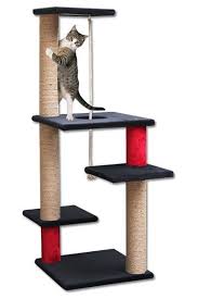 Tirmalamalar Mama Mama Kedi Ve Kopek Mamalari Kedi Kopek Kedi Evi