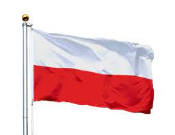 Cena flagi polski obejmuje jedynie samą flagę. Flaga Polski Lub Polska Z Godlem 150x90 Cm Polski 5026180010 Allegro Pl