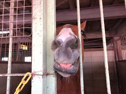 クレイン 東海 ブログ