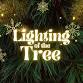 Lighting of the Tree Celebration event image