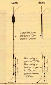 Gardons Et Bremes Conseils De Peche Citations Peche Nœuds De Peche