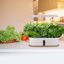 New garden system has patented an innovative cultivation system that radically increases crop output, reduces energy and water consumption. Nice Furniture Hydroponic Planting System Indoor Garden Starter Kit With Led Planting Lights Smart Garden Planter For Home Kitchen Automatic Timer Germination Kit Height Adjustable 10 Cabins Wayfair