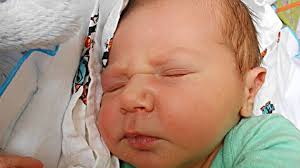 Fotogalerie: miminka 5. týdne 2018