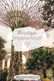 Changi Airport Singapur 7 Tipps Um Die Wartezeit Zu Verkurzen Singapur Reisen Allgemein Reisen