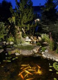 Landscape Lighting This Summer Reasons Your Yard Looks Brown