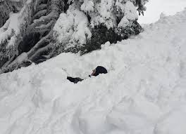 In effect until 6:30 a.m according to avalanche.org, there is a considerable risk of avalanches for the washington cascades. Avalanche Warning Extended For Parts Of Nw Montana Daily Inter Lake
