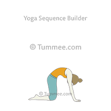 Cat Pose Billiasana Variations 20 Variations Of Billiasana Tummee Com Yoga Poses Cat Pose Cat Pose Yoga
