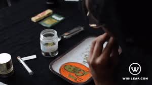 Latest and popular blunt gifs on primogif.com. Lick Joint Gifs Get The Best Gif On Giphy