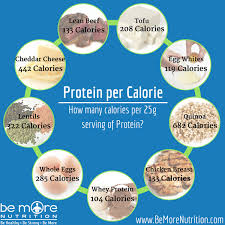 Protein Per Calorie The Smart Way To Get More Protein Into