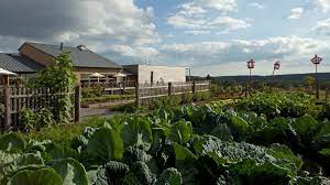 la gree des landes yves rocher la gacilly restaurant les jardins sauvages 6 restauration restaurant le jardin agriculture urbaine hotel restaurant