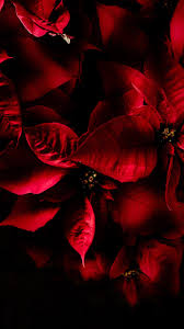To download any hd samsung wallpapers, simply click on the image. Note 20 Ultra Wallpaper Wallpaper Sun