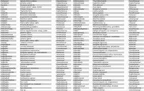 Image result for Crotalaria huillensis