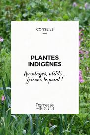 Plantes Indigenes Faisons Le Point Plantes Indigenes Terrarium Pour Plantes Grasses Et Jardins