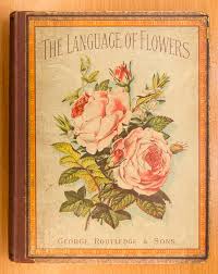 Flowers starting with the letter a. The Language Of Flowers Chicago Botanic Garden