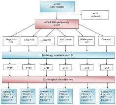 flow diagram depicting the results of initial cervical