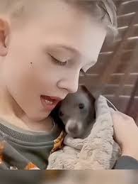 Hope Chastain's Instagram, Twitter & Facebook